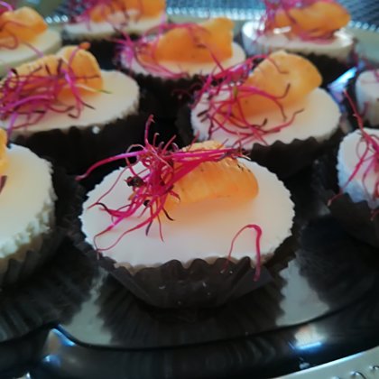 Grieķu jogurta sāļā kūciņa